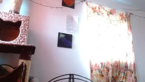 Snapshot of soka_lovers_04_ chatting on 01/06/26, 12:09 Sofia online show from 01/06/26, 12:09