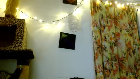 Snapshot of soka_lovers_04_ chatting on 02/19/26, 03:46 Sofia online show from 02/19/26, 03:46