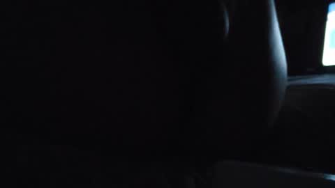 Snapshot of somewildbeast chatting on 12/21/24, 04:09 somewildbeast online show from 12/21/24, 04:09