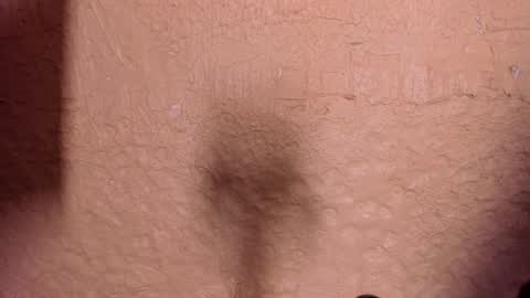 Snapshot of sophi_cooper29 chatting on 12/22/25, 11:46 sophi_cooper29 online show from 12/22/25, 11:46