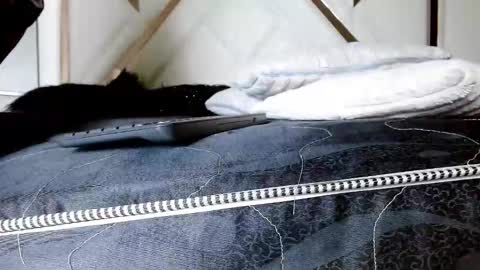 Snapshot of sophiaalee chatting on 02/13/26, 01:12 SophiaLee online show from 02/13/26, 01:12