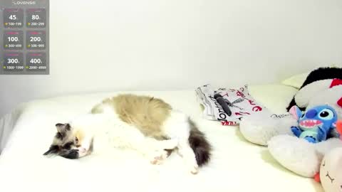 sophiebaker__ online show from 09/20/25, 01:50