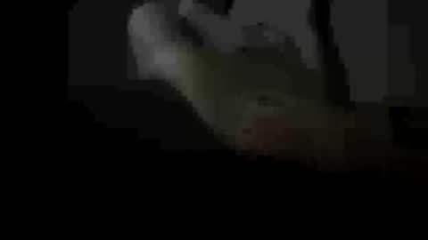 Snapshot of soulsurfer1985 chatting on 03/11/26, 08:42 soulsurfer1985 online show from 03/11/26, 08:42