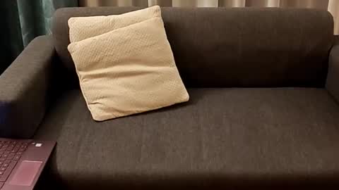 Snapshot of soyandytruhan chatting on 02/22/26, 11:58 Andy online show from 02/22/26, 11:58