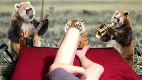 Snapshot of soymigo chatting on 02/11/26, 05:23 soymigo online show from 02/11/26, 05:23