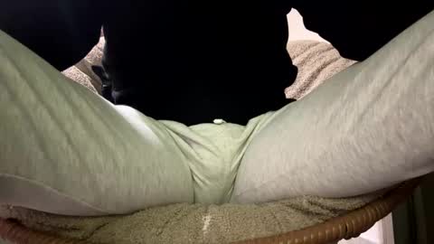 Dany online show from 12/23/25, 12:19