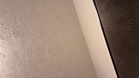 Snapshot of spnk6me9 chatting on 03/29/26, 10:21 spnk6me9 online show from 03/29/26, 10:21