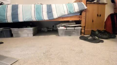 Snapshot of sportyguy283 chatting on 01/18/26, 09:18 Sportyguy283 online show from 01/18/26, 09:18