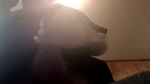 Snapshot of spundsrt chatting on 02/24/25, 12:48 spundsrt online show from 02/24/25, 12:48