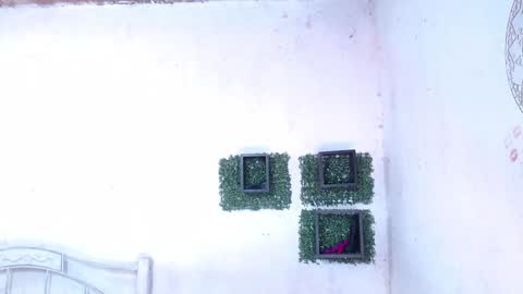 valeria online show from 01/25/25, 12:17