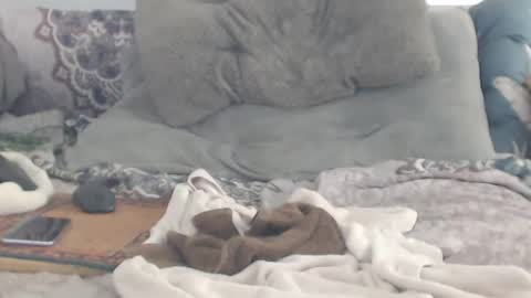 Squirt south beach withdaddy online show from 01/15/25, 09:51