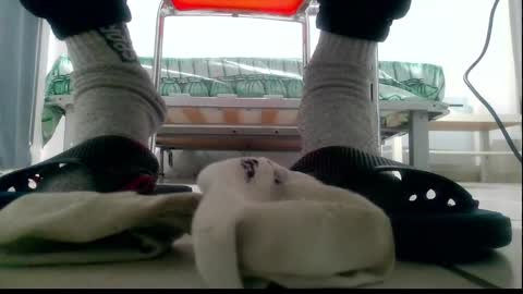 Snapshot of ssenzo chatting on 12/10/24, 09:54 ssenzo online show from 12/10/24, 09:54