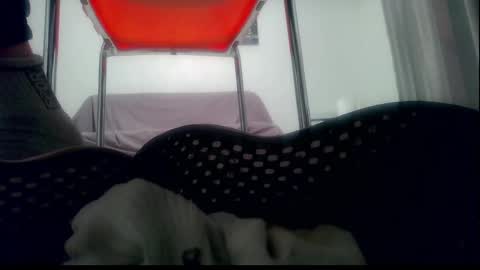 Snapshot of ssenzo chatting on 01/01/25, 10:35 ssenzo online show from 01/01/25, 10:35