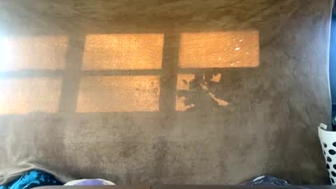 starbie online show from 12/30/24, 04:29