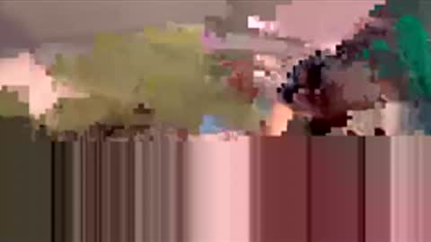 starbie online show from 03/19/26, 04:33