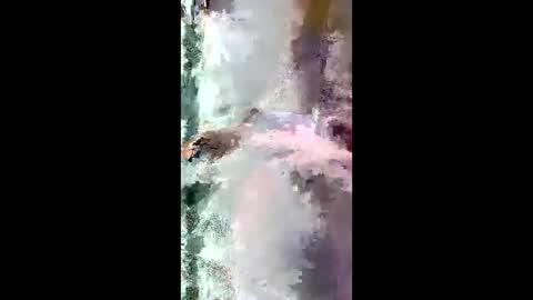 StarryWhispers online show from 03/28/26, 11:21