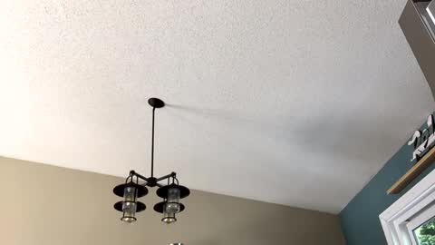 Snapshot of steakman007 chatting on 02/23/25, 06:01 Steakman online show from 02/23/25, 06:01