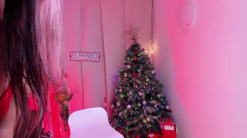 Snapshot of steffy_dan chatting on 12/25/24, 04:01 Steffy online show from 12/25/24, 04:01