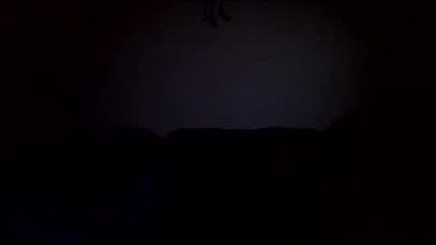 stefy1037 online show from 02/19/25, 06:55