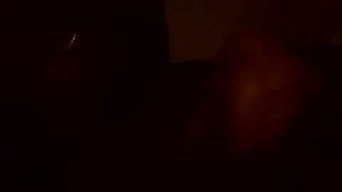stefy1037 online show from 06/13/26, 05:49