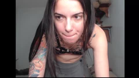 Stella online show from 02/17/26, 02:08