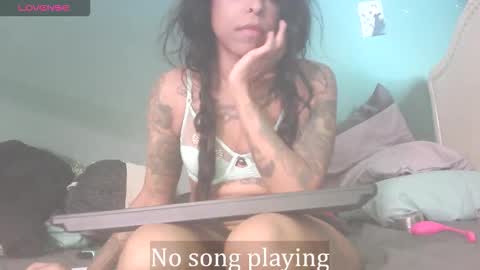 Snapshot of stella_clitella chatting on 11/22/25, 07:02 Stella Clitella online show from 11/22/25, 07:02