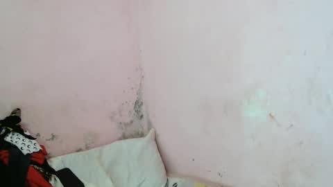 Snapshot of stellah2555 chatting on 03/11/26, 09:26 stellah2555 online show from 03/11/26, 09:26