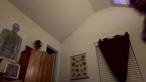 stellakobra online show from 11/15/25, 08:11