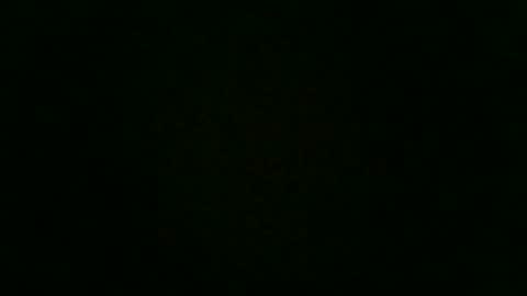 Snapshot of stensurfarn chatting on 12/02/25, 12:43 stensurfarn online show from 12/02/25, 12:43