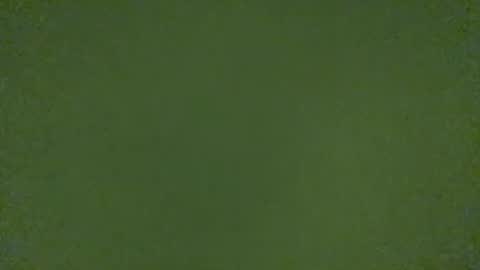 Snapshot of stensurfarn chatting on 03/21/26, 11:15 stensurfarn online show from 03/21/26, 11:15