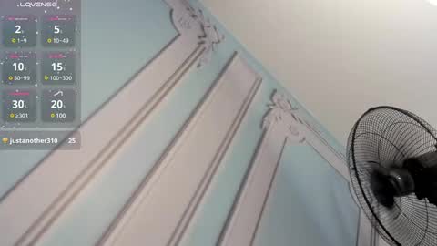         online show from 01/19/25, 09:44