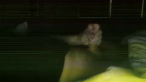 Snapshot of steve093066 chatting on 02/27/26, 11:43 Steve online show from 02/27/26, 11:43