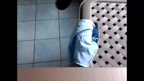 Snapshot of stevenx1974 chatting on 03/08/26, 09:02 stevenx1974 online show from 03/08/26, 09:02