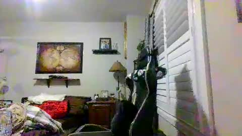 steveross33 online show from 03/20/26, 12:04