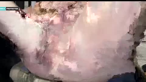 steve online show from 01/15/25, 08:37