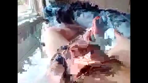 stevie_y19 online show from 02/14/25, 09:34