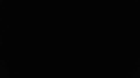 Stew Pididiot online show from 02/11/26, 09:09