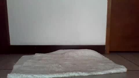 Snapshot of stgo2000caliente chatting on 02/18/25, 03:54 stgo2000caliente online show from 02/18/25, 03:54
