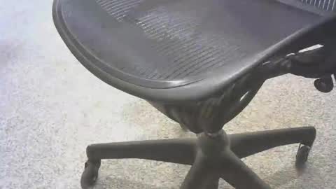 stl hammer online show from 11/06/25, 08:54