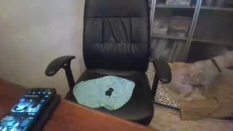 rainy online show from 12/14/25, 01:11