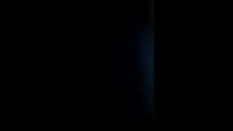 stoned_skipper online show from 12/30/24, 04:19