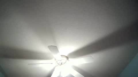 Snapshot of str8whiteboy21 chatting on 12/19/24, 04:34 str8whiteboy21 online show from 12/19/24, 04:34