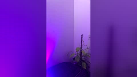 Snapshot of straight_boys_hornys chatting on 12/20/25, 11:50 straight_boys_hornys online show from 12/20/25, 11:50