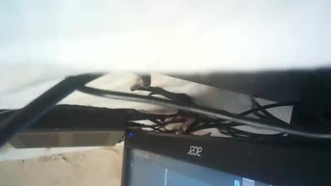 Snapshot of strangerdanger_2 chatting on 01/09/26, 11:35 strangerdanger_2 online show from 01/09/26, 11:35