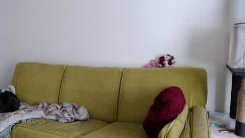 Strawberrylotsacake online show from 05/13/26, 05:32