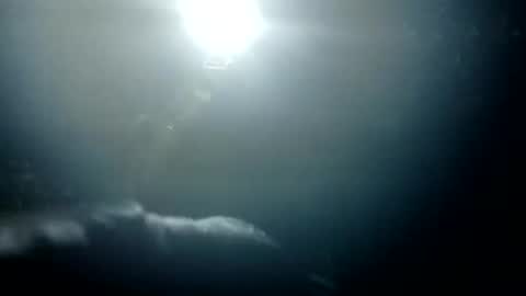 Snapshot of stroll0695 chatting on 01/26/25, 01:36 Bigdickdugan online show from 01/26/25, 01:36