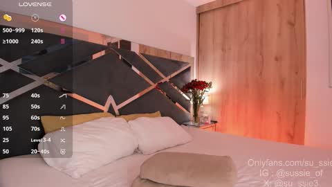 Snapshot of su_ssie chatting on 03/06/26, 03:03 su_ssie online show from 03/06/26, 03:03