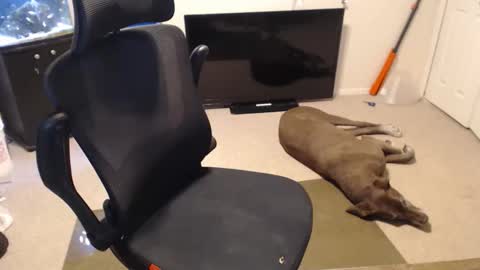 do i have lil tits or pecs online show from 10/15/25, 02:06