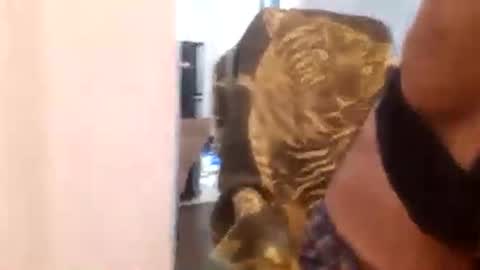 Cuteipie online show from 12/29/24, 01:34