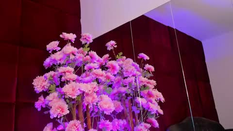 Sugar online show from 09/26/25, 05:11